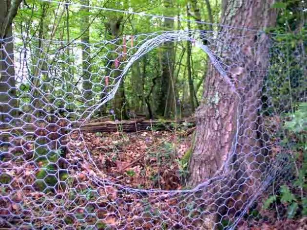 Picture of a chicken wire fence with a big hole where a feral hog has passed through.
